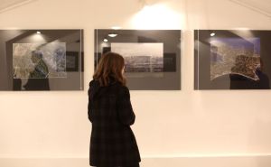 Otvorena izložba Erola Čolakovića "Lice zemlje"