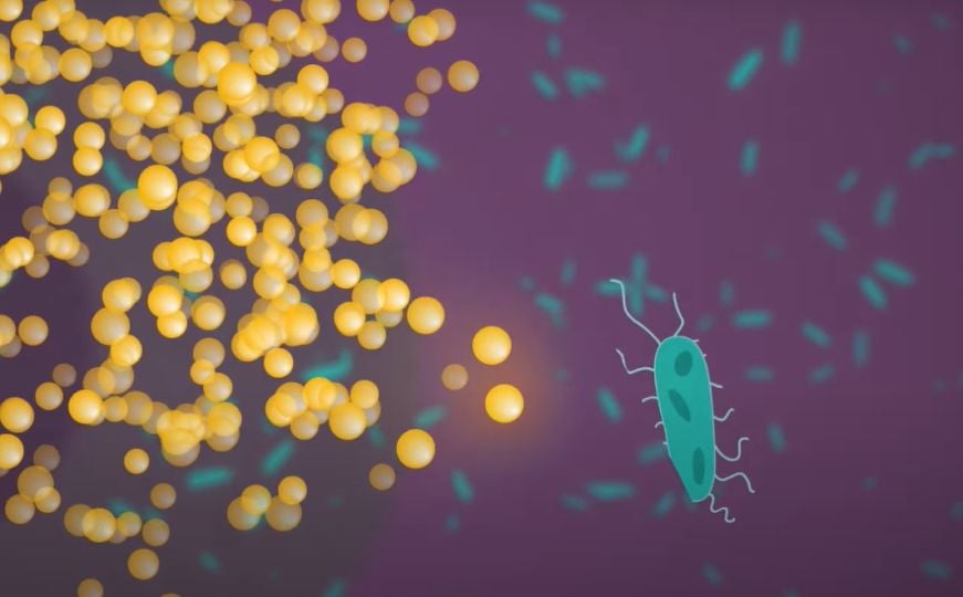Naučnici u šoku: Snimljen dosad 'neviđen' trik kako bakterije izbjegavaju antibiotike