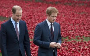 Zaštitnički stav: Princ William reagovao na komentare o Harryu