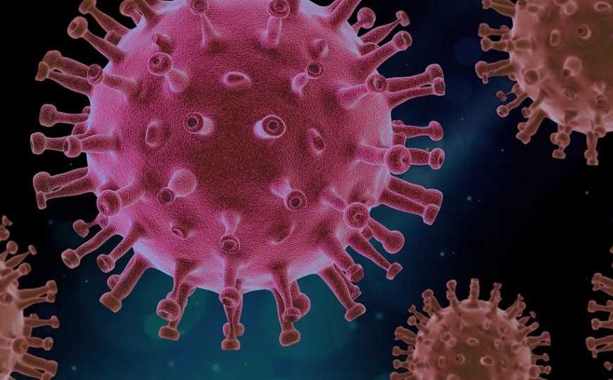 Pojavio se novi virus: Stručnjaci otkrivaju koliko je opasan za ljude