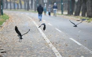 Bihać i jutros najtopliji grad u BiH: Objavljena prognoza do utorka - bit će i kiše i do 18 stepeni