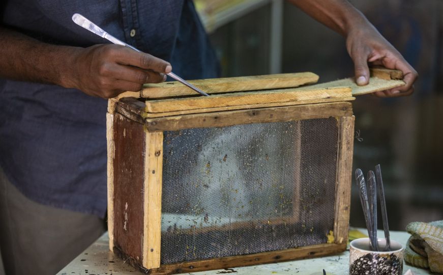 Sve češće liječenje pčelinjim ubodom u Sudanu