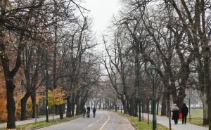 Temperatura danas do 8 stepeni: Pogledajte i kakvo će nam vrijeme biti za Novu godinu