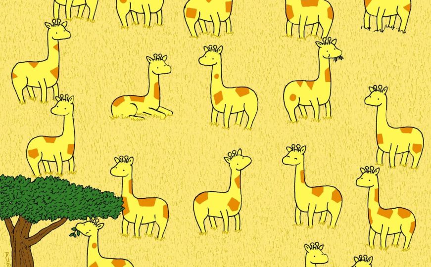Koja žirafa nema svoju dvojnicu?