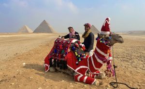 Neobični prizori iz Egipta: Kamile u prazničnom ruhu