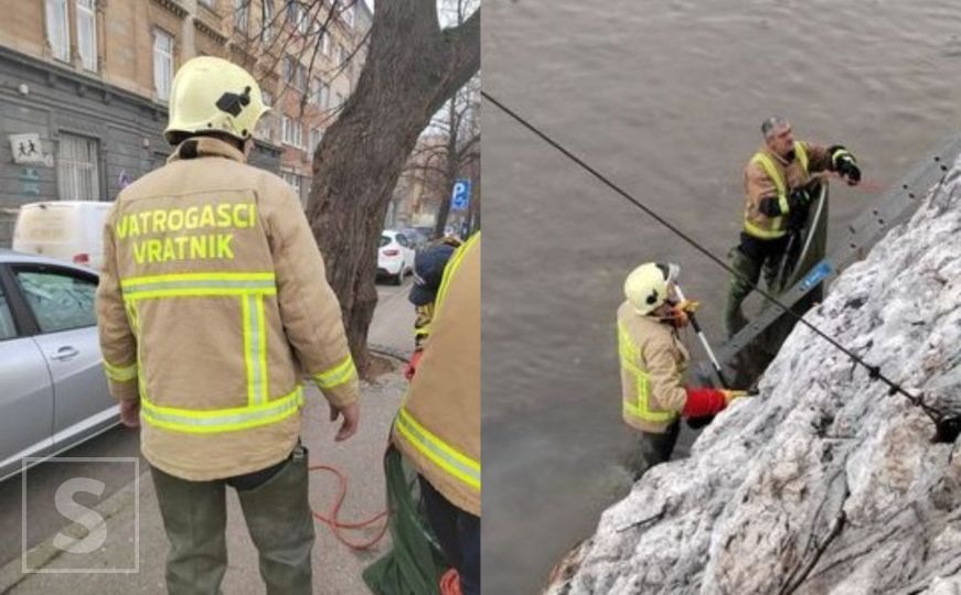 Bravo: Sarajevski vatrogasci spasili psa iz korita Miljacke