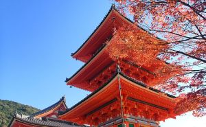 Stara prijestolnica Japana: Kyoto je grad koji vodi u prošlost