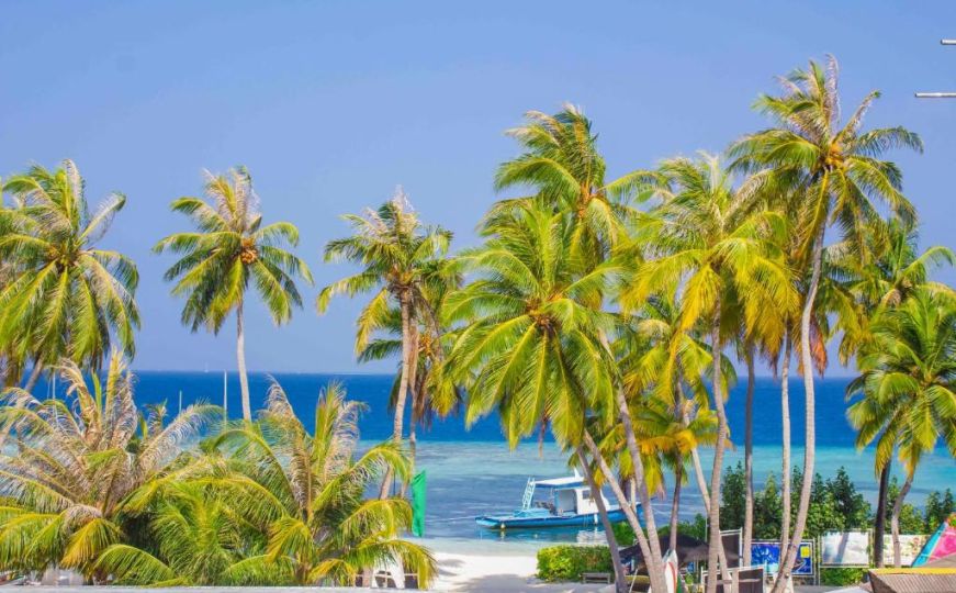 Kako provesti sedam dana na Maldivima za istu cijenu kao i u Tučepima