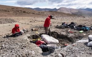 U čileanskoj Patagoniji naučnici iskopali megaraptore, fosile pernatih dinosaurusa