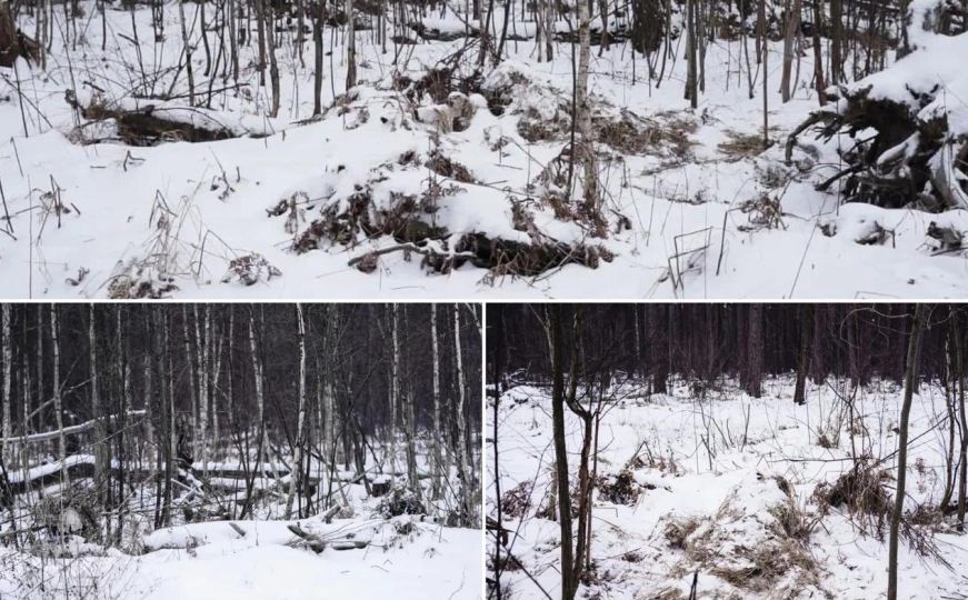 Ukrajinska vojska podijelila neobične fotografije: Možete li na njima pronaći snajperistu?