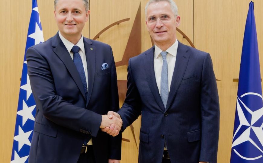 Edin Subašić: Bećirevićev NATO put – i mirna Bosna!