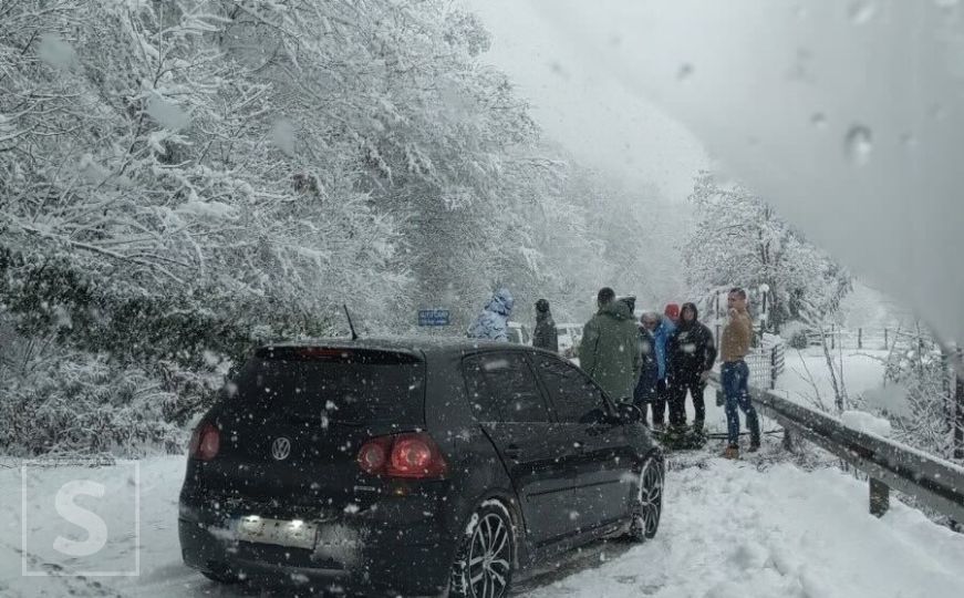 Zastoj na putu prema Goraždu: Zbog nevremena drvo se oborilo na cestu