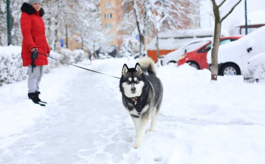 Nastavit će padati i narednih dana: Snijeg zabijelio Sarajevo, pogledajte fotografije
