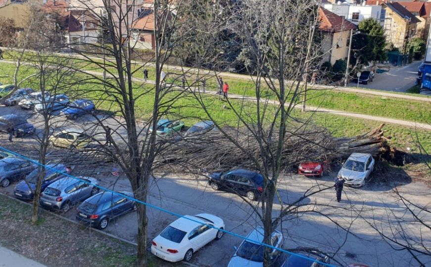 Snažan vjetar u Hrvatskoj: ruši stabla, telefonske i električne stubove