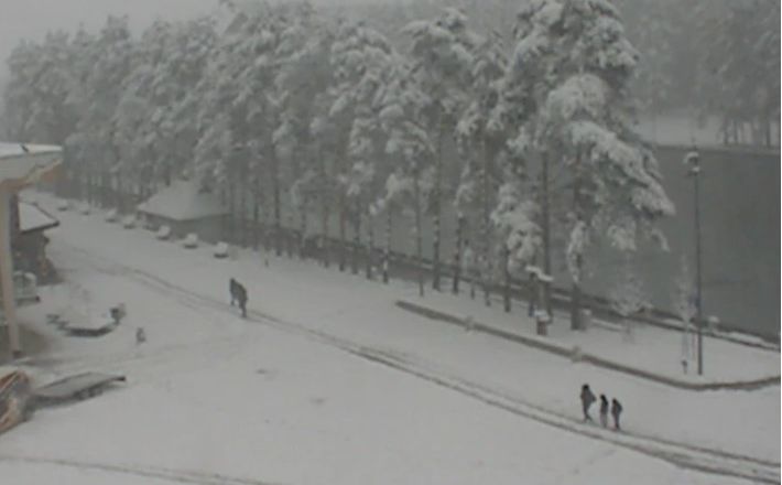 Snježne padavine u Srbiji: Zarobljena tri automobila na cesti