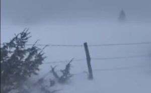 Zimska mećava na bh. planinama: Pogledajte snimak olujnog vjetra na Vlašiću