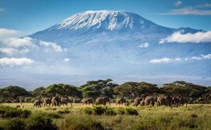 Dosegli krov Afrike: Tomislav Cvitanušić i grupa planinara osvojili najviši vrh Kilimandžara
