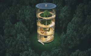 Nevjerovatna staklena kuća koja se obavija oko živog visokog stabla usred guste šume