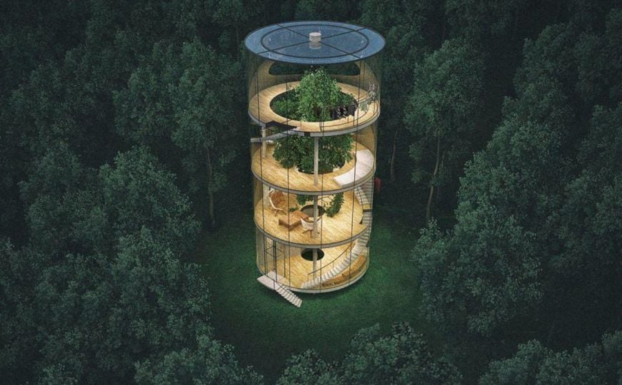 Nevjerovatna staklena kuća koja se obavija oko živog visokog stabla usred guste šume
