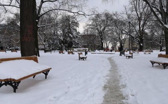 U Srbiji zbog snažnih vjetrova i snježnih oluja više od 25.000 ljudi ostalo bez struje