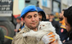 Humanost na djelu: Spašena mačka iz ruševina u Turskoj