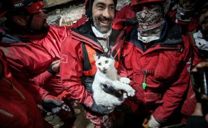 Spasioci u Hatayu spasili ženu, zatim čuli zvuk mačke: Uz ovacije i suze radosnice izvukli životinju