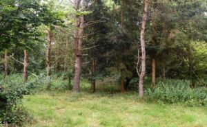 Testirajte vid: Pronađite šest vojnika na fotografiji