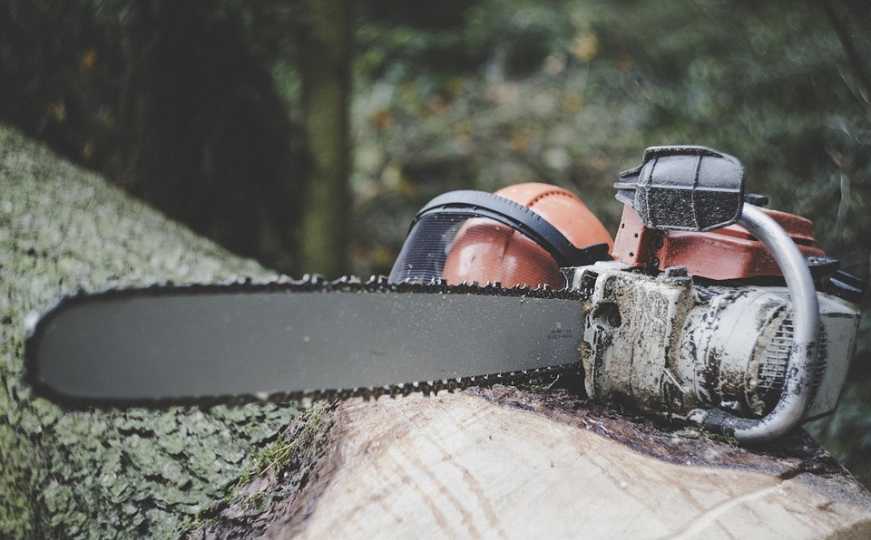 Tragedija u Austriji: Poginuo radnik iz BiH nakon što je drvo palo na njega