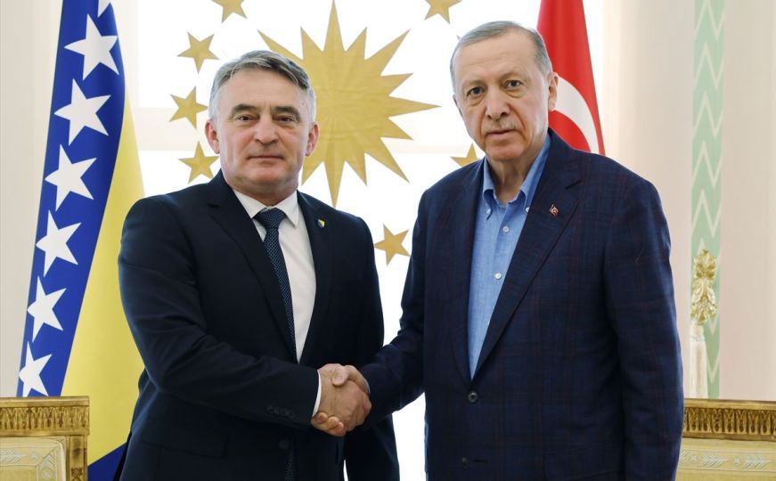 Željko Komšić i Recep Tayyip Erdogan održali sastanak: Poznate teme razgovora