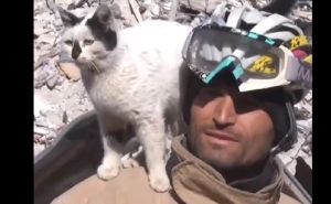 Mačka spašena iz ruševina odbija da napusti svog spasioca