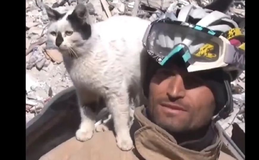 Mačka spašena iz ruševina odbija da napusti svog spasioca