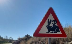 Hit fotografija iz Dalmacije: Šta predstavlja ovaj saobraćajni znak?