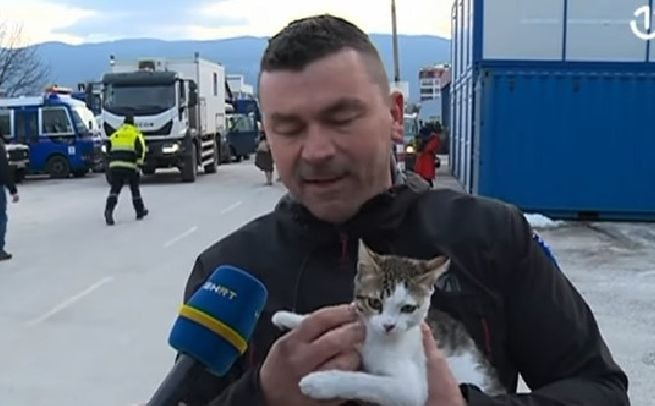 Ma, bravo: Pripadnik FUCZ udomio mačku spašenu iz ruševina u Turskoj