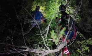 Nestala djevojčica u BiH: Na terenu GSS, policija i lovci