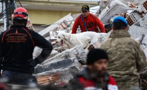 Turska: Broj poginulih u snažnim zemljotresima povećan na 42.310