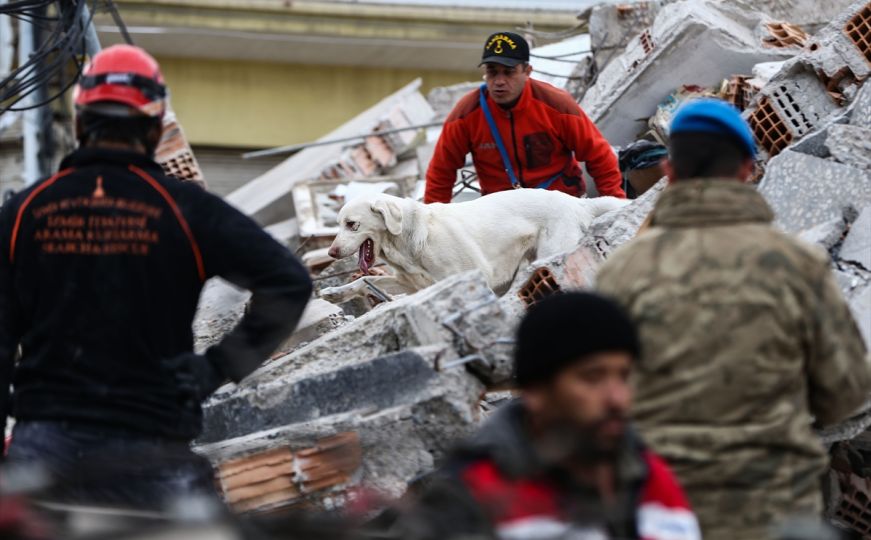 Turska: Broj poginulih u snažnim zemljotresima povećan na 42.310