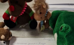 Sjećate se bakice koja je poslala 10 KM za Tursku i Siriju? Njeno novo pismo opet će vas rasplakati