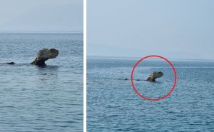 Šta je to izronilo kod dalmatinskog otoka: Vis ima svoje 'čudovište' iz dubina