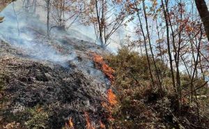 Vatrogasci imali pune ruke posla u Hercegovini: Gorjeli kuća, električni stub, vozilo i rastinje