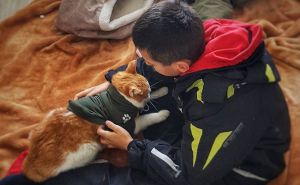 Priča koja grije dušu: Napuštene mace i djeca bez roditelja brinu jedni o drugima na Bjelašnici