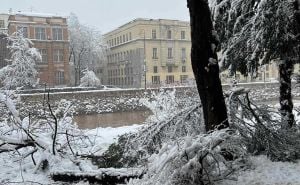 Izbjegnuta tragedija u Sarajevu: Palo stablo kod zgrade Parlamenta FBiH