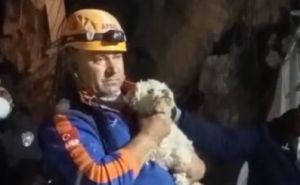 Novo čudo u Turskoj: Ispod ruševina Hataya 25 dana nakon zemljotresa spašen još jedan pas