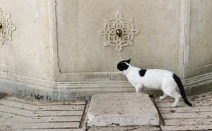 Naoružajte se strpljenjem: U Sarajevu danas 21 ulica bez vode