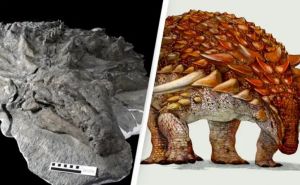 Naučnici pronašli dinosaura s netaknutom kožom na licu