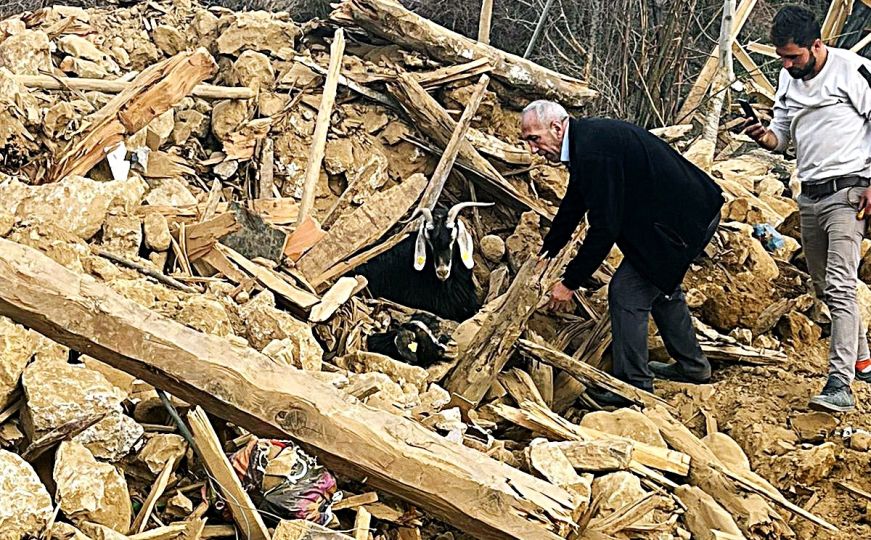 Veliko čudo u Turskoj: Dvije koze izvučene žive iz ruševina 637 sati nakon zemljotresa
