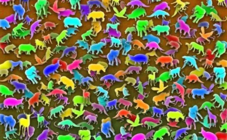 Životinjsko carstvo: Možete li pronaći žirafu?