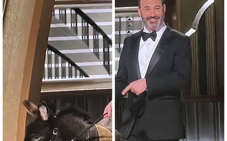 Pojavio se na oduševljenje Colina Farrella: Evo zašto je izveden magarac na binu tokom Oscara
