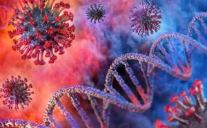 Otkriveni novi podaci o porijeklu koronavirusa: WHO traži pojašnjenja od Kine