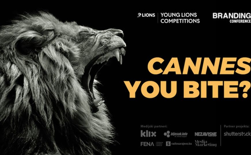 Da li je vaša kreativnost lavlja? Young Lions BiH vas poziva da pokažete šta znate!