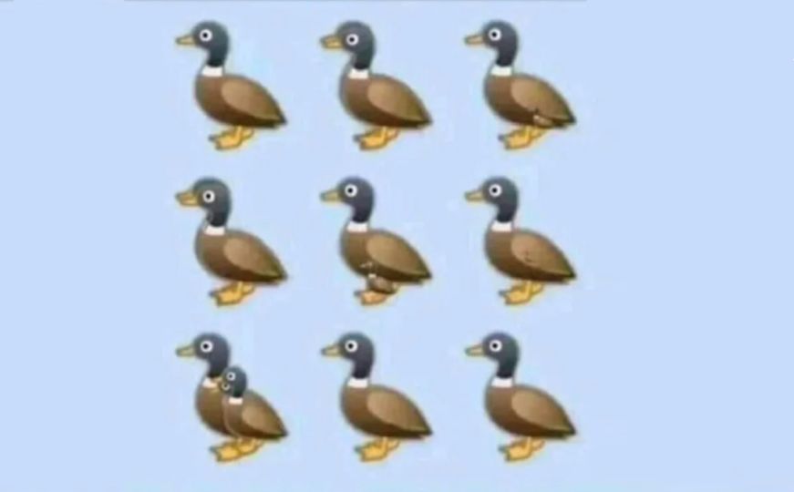 Mozgalica koja je zbunila korisnike Twittera: Koliko je patki na ovoj ilustraciji?